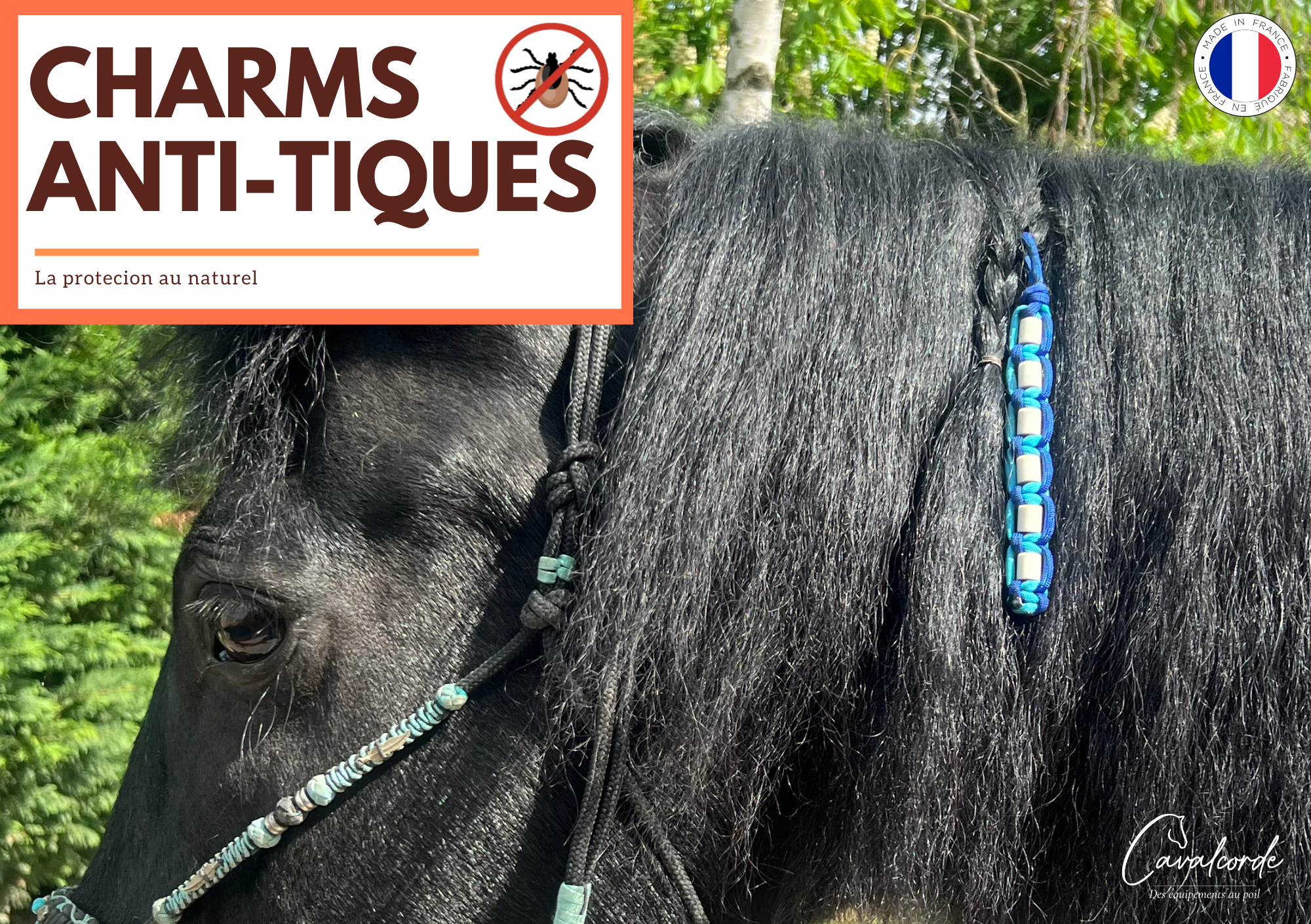 découvrez l'efficacité des charms anti-tiques pour chevaux, protégeant votre animal contre les parasites de manière naturelle et durable.