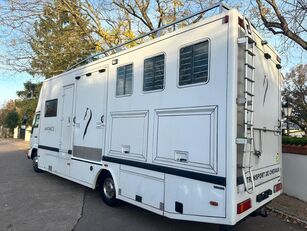 découvrez comment choisir le camion d'occasion idéal pour le transport de 2 chevaux, avec des conseils pratiques sur les critères essentiels, la sécurité et le confort.