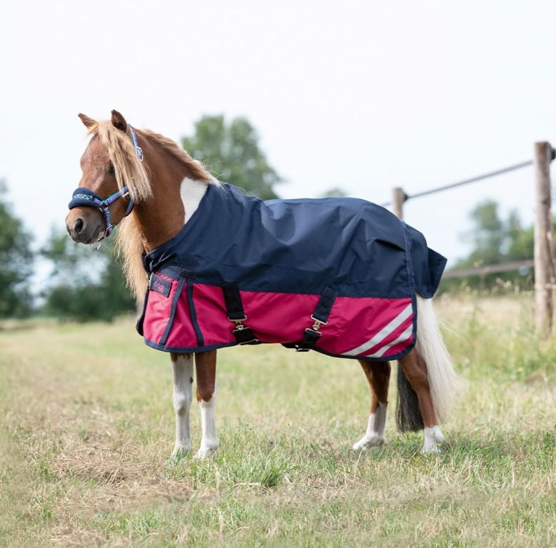 découvrez notre couverture cheval imperméable, idéale pour protéger votre cheval des intempéries tout en assurant confort et respirabilité.