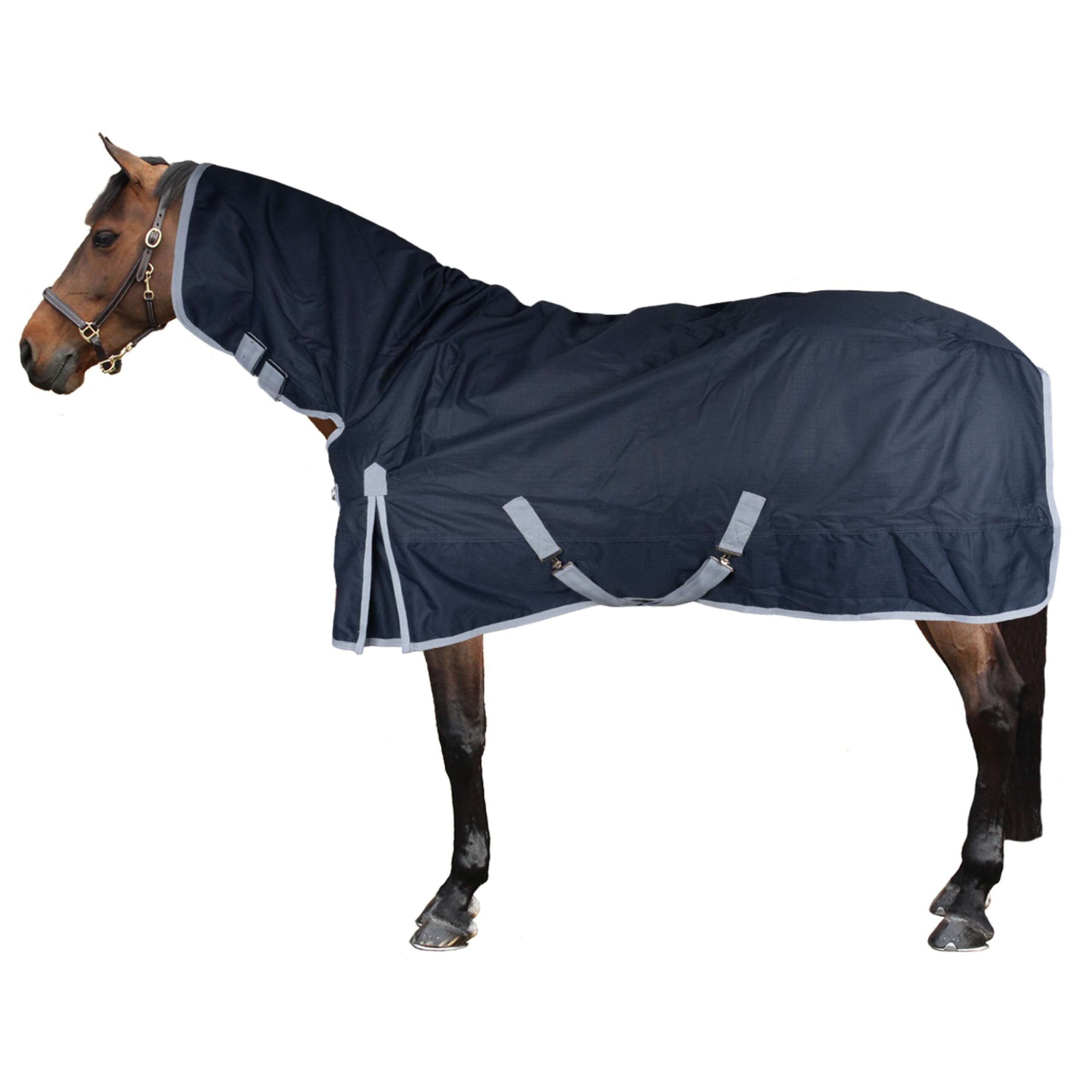 découvrez notre couverture imperméable pour chevaux, conçue pour protéger efficacement votre animal de la pluie et de l'humidité tout en assurant confort et durabilité.