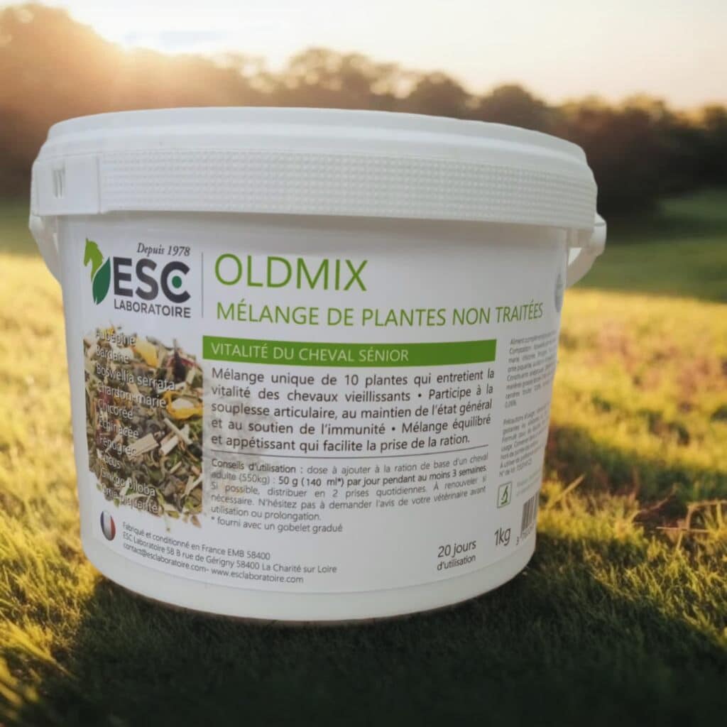 découvrez les bienfaits de la bardane pour les chevaux : amélioration de la santé de la peau, soutien du système immunitaire et propriétés détoxifiantes naturelles.