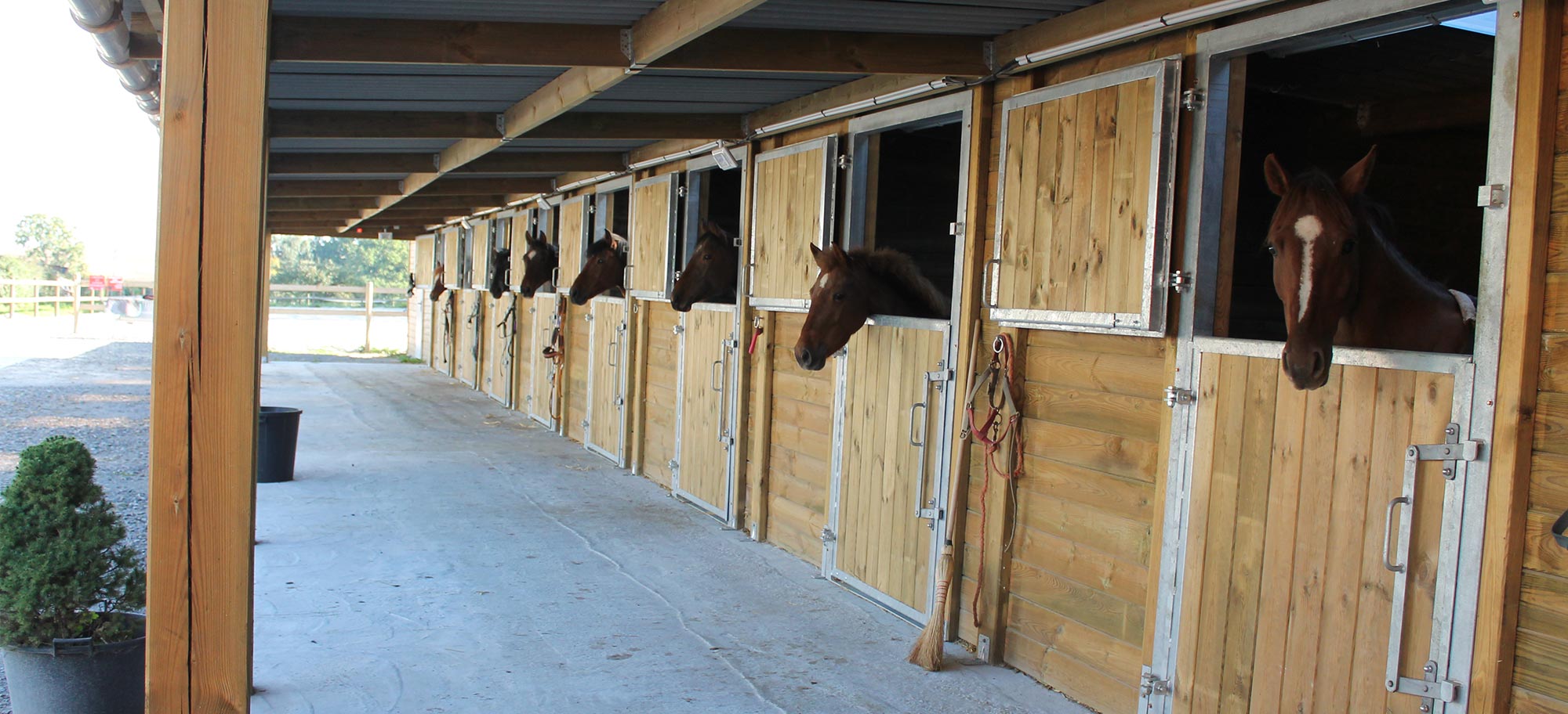 découvrez comment choisir et aménager un barn avec 4 boxes pour chevaux, alliant confort, sécurité et praticité pour vos équidés.