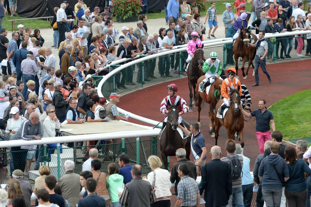 découvrez comment choisir le cheval de course idéal grâce à nos conseils d'experts pour optimiser vos chances de victoire.