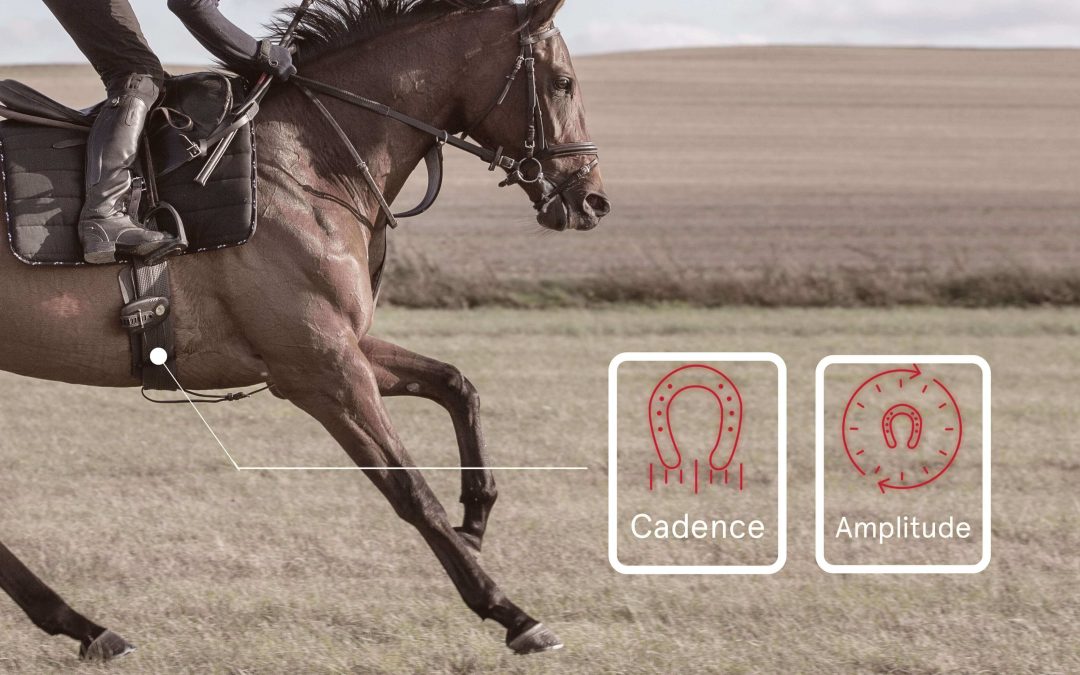 découvrez comment choisir le cheval de course idéal grâce à nos conseils d'experts pour optimiser vos chances de victoire.
