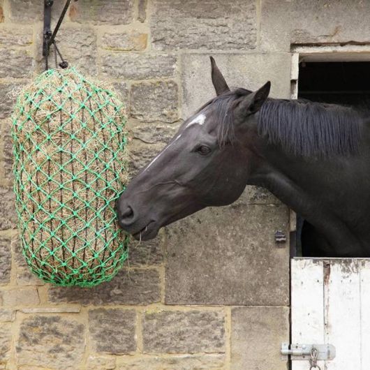découvrez les avantages du foin pour chevaux et nos conseils pratiques pour bien le choisir et le conserver, afin d'assurer la santé et le bien-être de vos équidés.