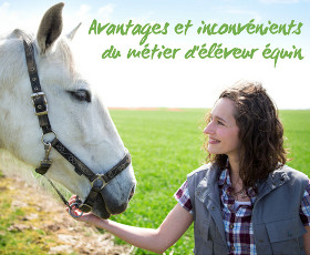 découvrez les avantages de la location de chevaux et profitez de nos conseils pratiques pour une expérience réussie et sécurisée.