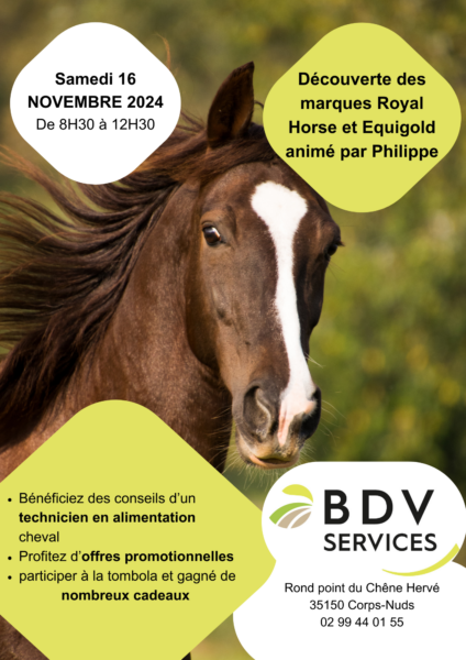 découvrez les avantages de la location de chevaux et nos conseils pratiques pour profiter pleinement de cette expérience équestre.