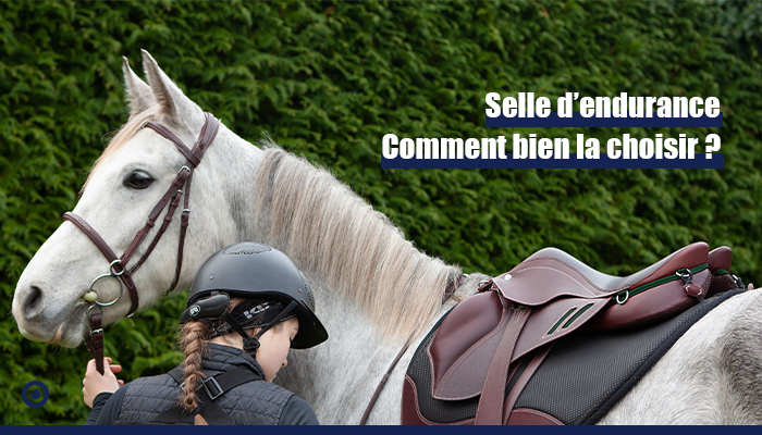 découvrez le matériel essentiel pour l'endurance du cheval afin d'optimiser ses performances et son confort lors de vos compétitions et entraînements.