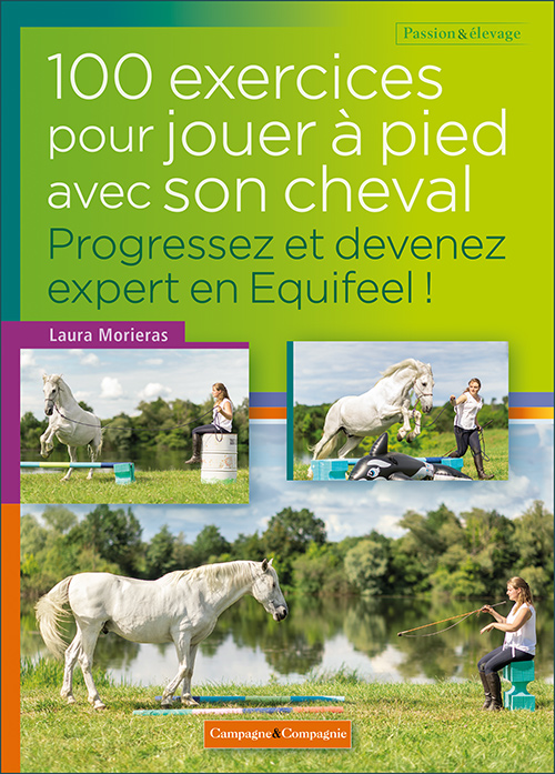 découvrez comment préparer votre cheval au travail à pied grâce à des techniques adaptées pour développer confiance, respect et bien-être entre vous et votre cheval.