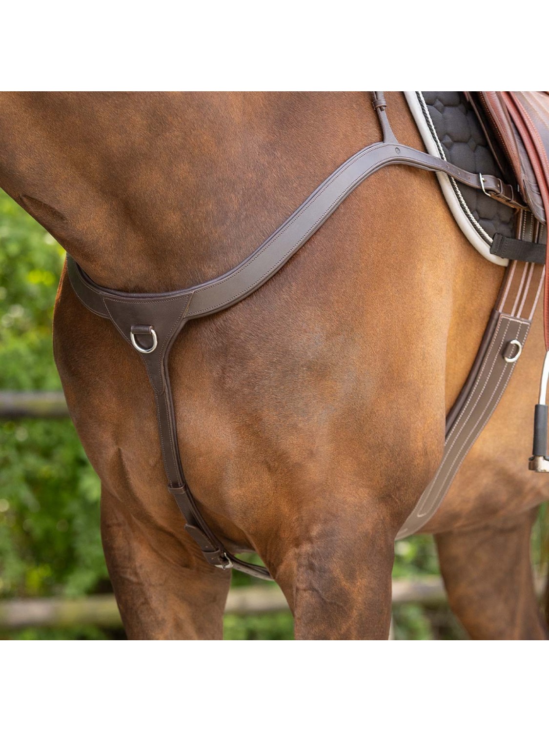 découvrez le rôle du collier de chasse pour chevaux : un équipement essentiel assurant confort, sécurité et performance lors des activités équestres.