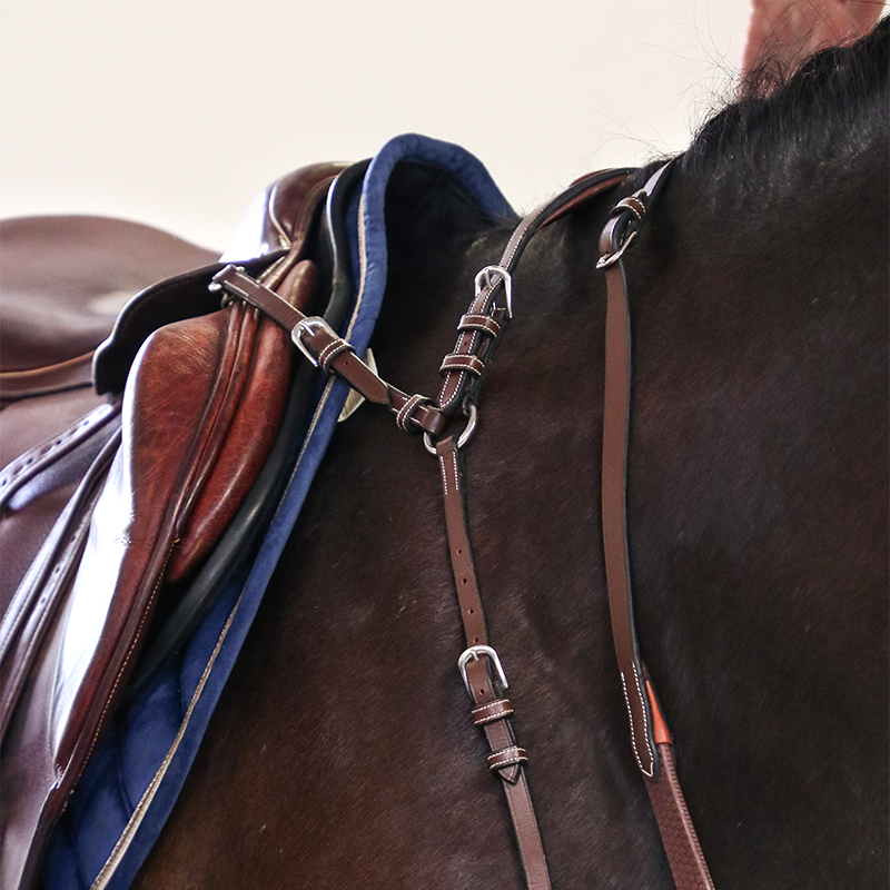 découvrez le rôle essentiel du collier de chasse pour chevaux, un équipement clé assurant confort, sécurité et performance lors de vos sorties en pleine nature.