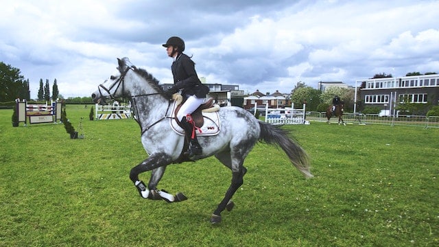 découvrez les chevaux de dressage célèbres, leurs performances impressionnantes et leur influence dans le monde équestre.