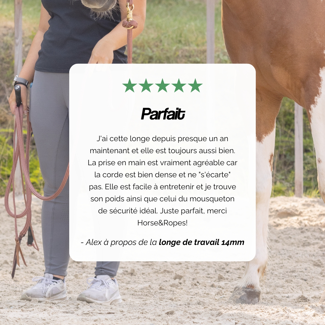 découvrez comment choisir la longe idéale pour votre cheval, en tenant compte de ses besoins, de la qualité du matériel et des différentes longueurs disponibles pour assurer confort et sécurité.