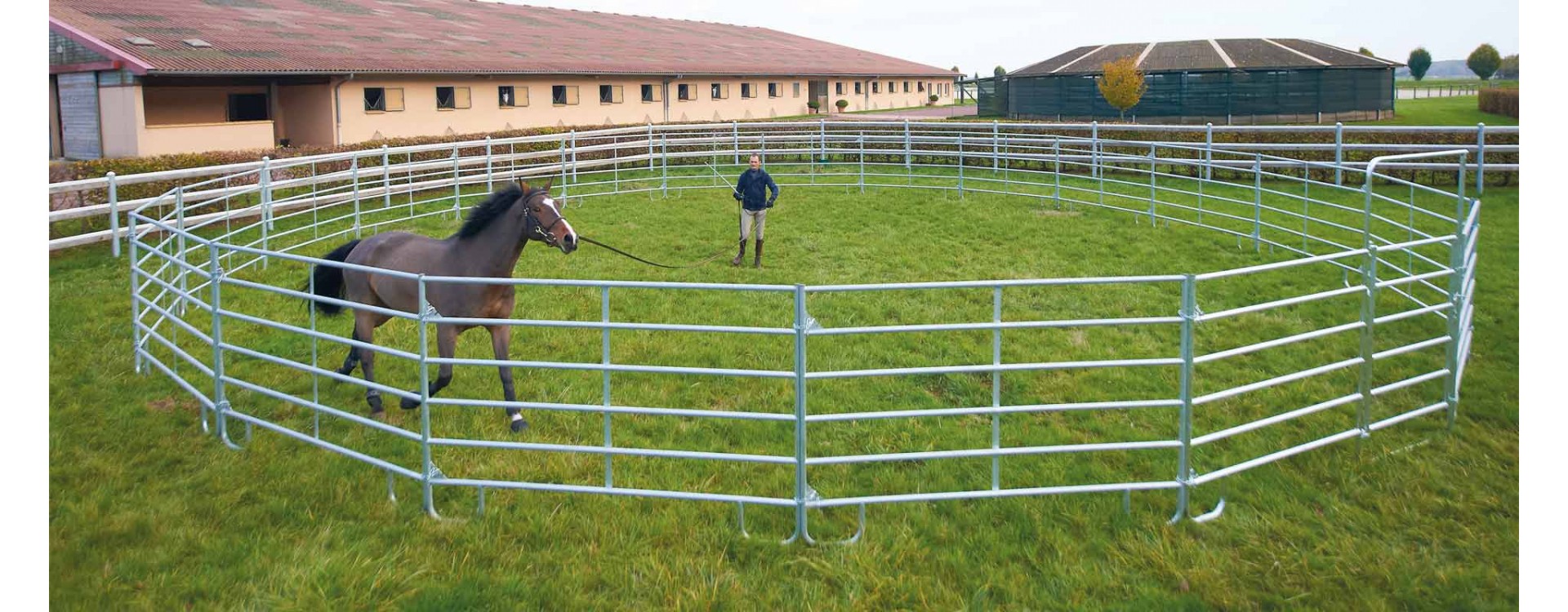 découvrez comment choisir la longe idéale pour votre cheval afin d'assurer sécurité, confort et efficacité lors de son travail.