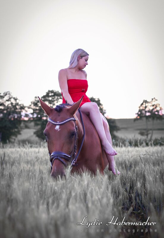 découvrez nos conseils essentiels pour réussir votre shooting photo avec un cheval et capturer des images magnifiques et naturelles.
