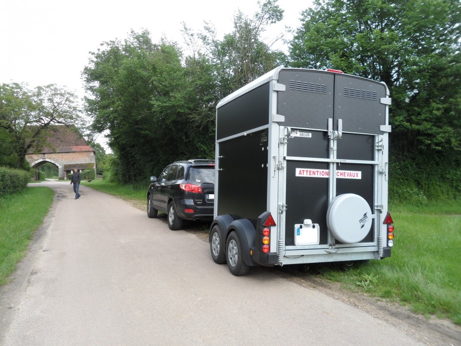 découvrez nos conseils pratiques pour éviter le stress lors du transport de votre cheval en camion et garantir son bien-être tout au long du trajet.