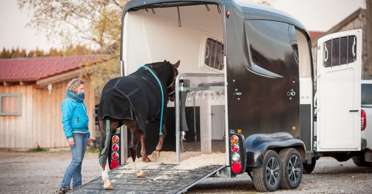 découvrez comment organiser un transport sécurisé de chevaux en toute sérénité, avec des conseils pratiques pour garantir leur confort et leur sécurité durant le trajet.