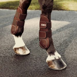 découvrez notre guide complet sur protec cheval, la solution idéale pour la protection et le bien-être de votre cheval. conseils, astuces et produits recommandés pour prendre soin de votre équidé.