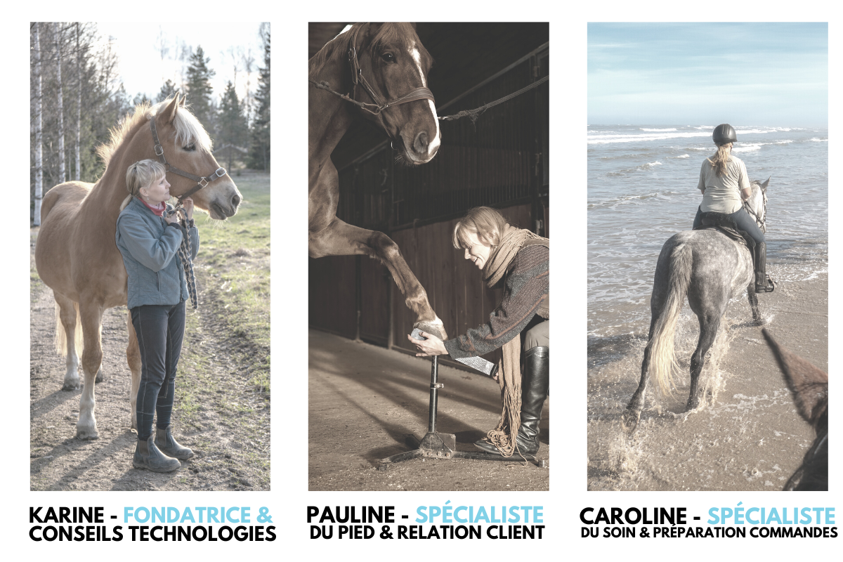 découvrez le guide complet protec cheval pour assurer la santé et le bien-être de votre cheval, avec des conseils pratiques et des solutions efficaces.