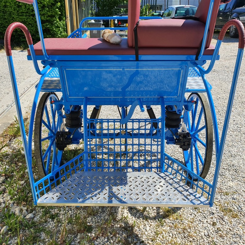 découvrez les avantages et les différents usages des calèches à 2 roues pour chevaux, alliant tradition et praticité pour vos balades et événements.