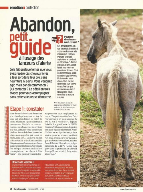 découvrez comment sauver un cheval en détresse grâce à nos conseils pratiques et recommandations pour assurer son bien-être et sa sécurité.